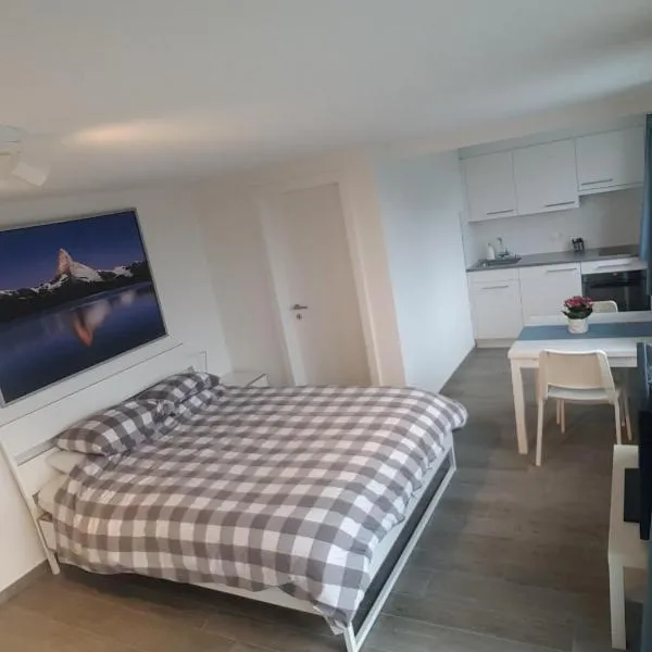 Lake View Private Studio, hotel en Richterswil