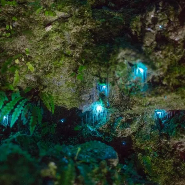 Viesnīca Jackson's Retreat Alpine Holiday Park pilsētā Jacksons