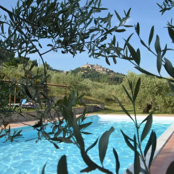 Agriturismo Il Monte - Piscina tra gli Ulivi, Maneggio con Cavalli e WIFI, Hotel in Monte Santa Maria Tiberina