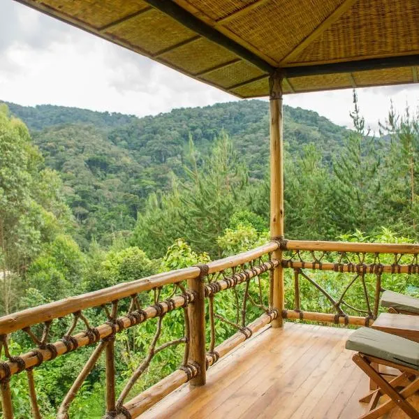 Ichumbi Gorilla Lodge, hotel v destinaci Kisoro