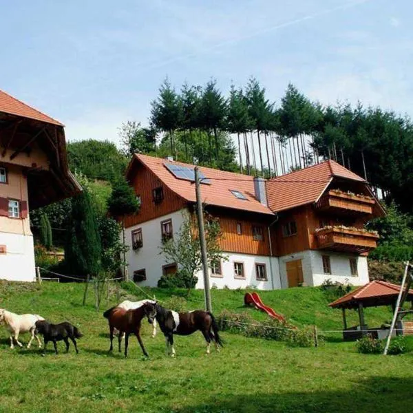 Schwoererhof, hotel v destinaci Schweighausen