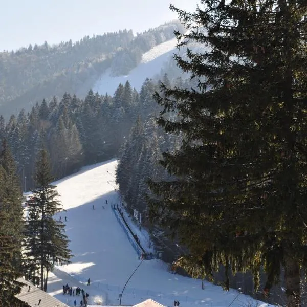 Garden Apart, hotel in Predeal