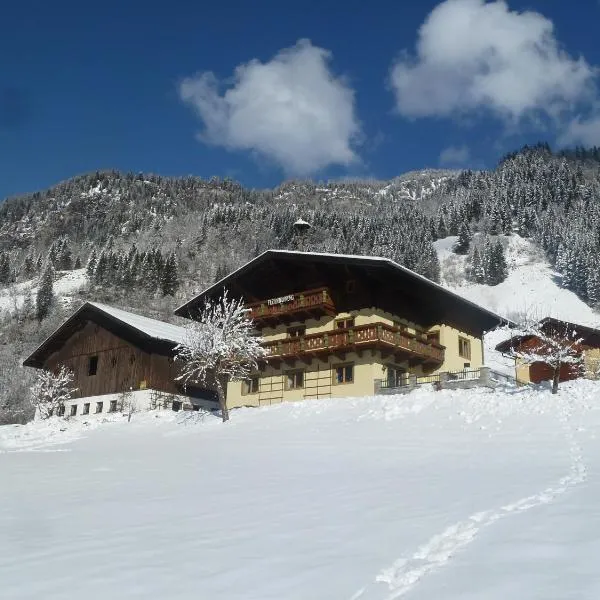 Rainerhof, hotel v destinaci Dorfgastein