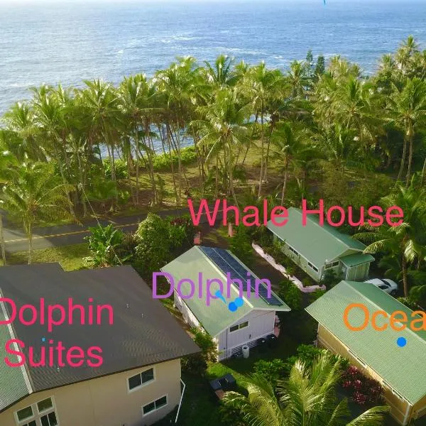 Whale House at Kehena Beach, hotel v destinaci Pahoa