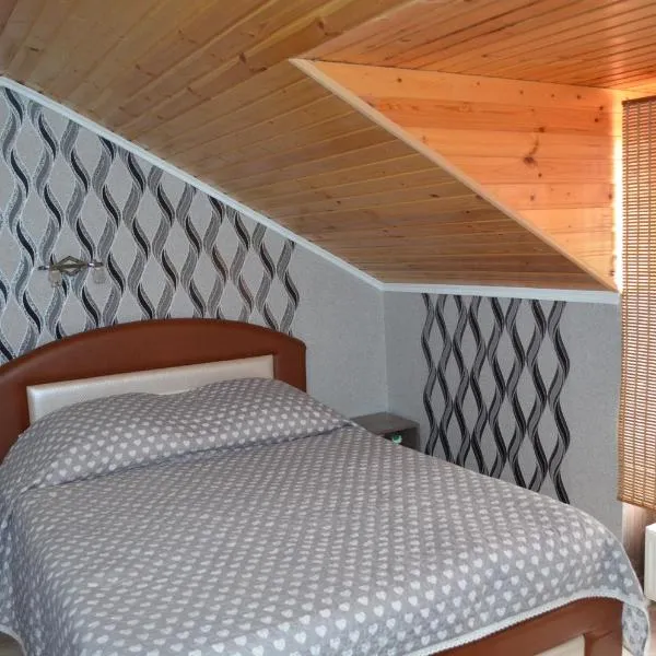 Villa Ana, hotel v destinaci Rezina