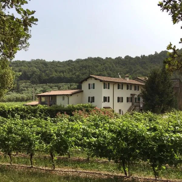 Agriturismo Ca' Castellani, hotel in Bardolino