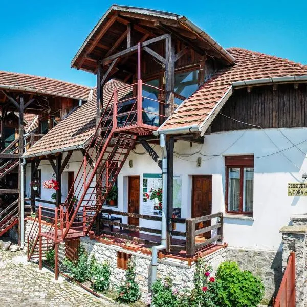 Pensiunea DORA SASCA, hotel in Sasca Montană