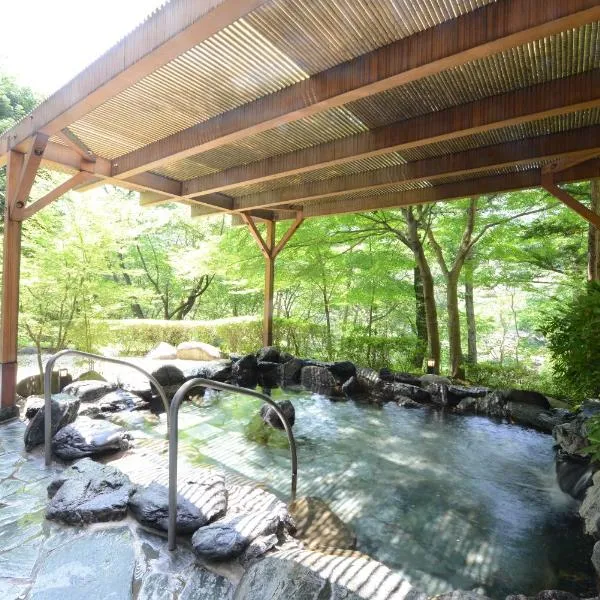 Hotel Harvest Kinugawa, hotel v destinaci Nikko