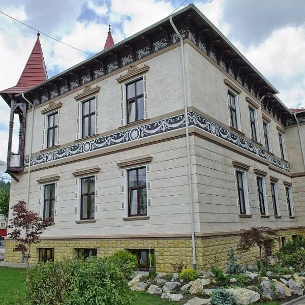 Hotel Carol - Vatra Dornei, hotel v destinaci Vatra Dornei