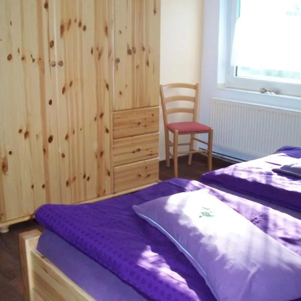 Haus Darmstadt, hotel v destinaci Ankelohe