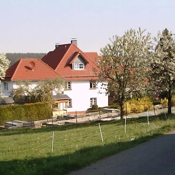 Willekes Blütenhof, hotel en Madfeld