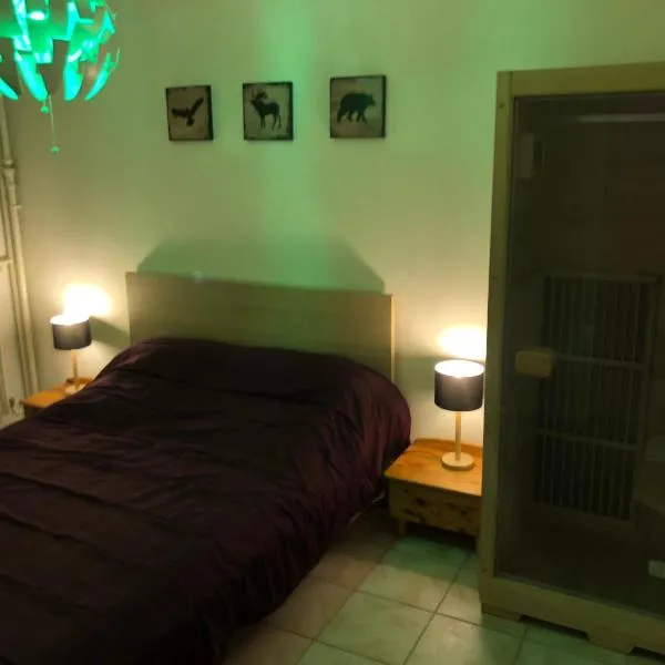 Appartements le Verlaine, hotel in Rombas