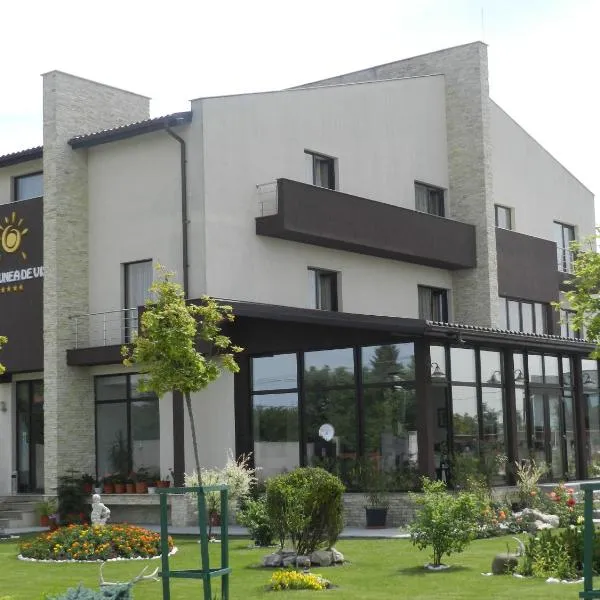 Pensiunea de Vis, hotel in Ciocăneşti