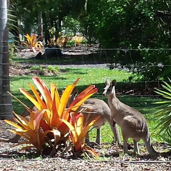 Bluegrass BnB, hotel v destinaci Bundaberg