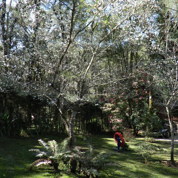 Recanto dos Kerr - Foto 4
