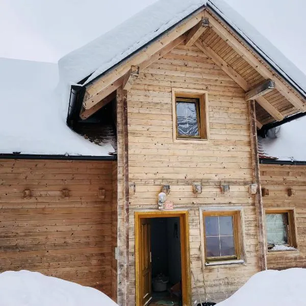 Apartmaji Zlata Lisička, hotel in Cerkno