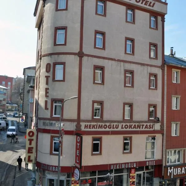 Hekimoğlu Hotel, hotell sihtkohas Erzurum