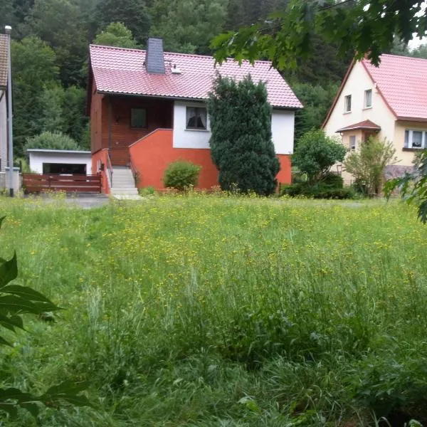 Fewo am Fuße der Bergbahn, Hotel in Mellenbach-Glasbach