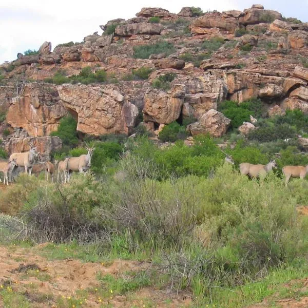 Traveller's Rest, hotel in Clanwilliam
