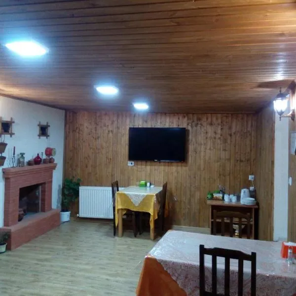 Tbilisi Downtown Guest House, hotel in Tbilisi City