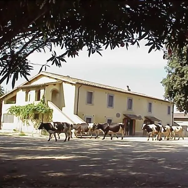 Biobagnolese Agriturismo, hotel u gradu 'Orte'