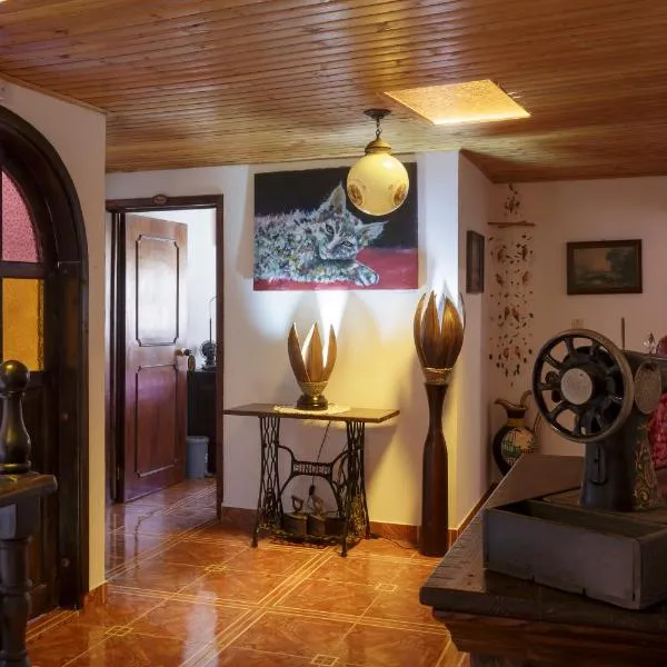 Tonsuca, hotel v destinaci Iza