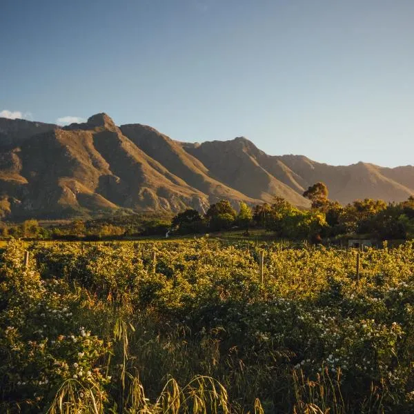 Wildebraam Berry Estate, hotel in Bakklysdrift