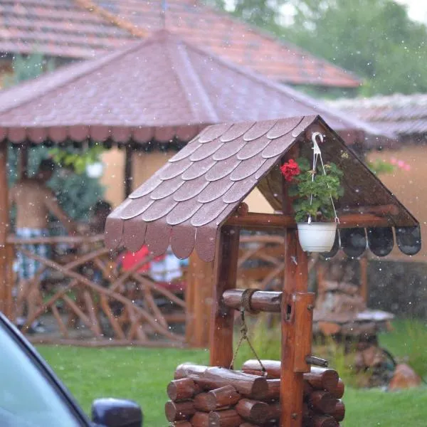 Country house Egomer, hotell i Vaşcău