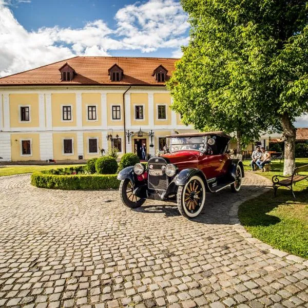 Castel Haller, hotel in Ogra