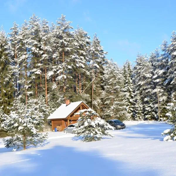 Tõrvaaugu Holiday Homes، فندق في Jäneda