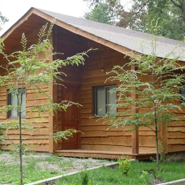 Cabañas Huenehue, хотел в Пангипули