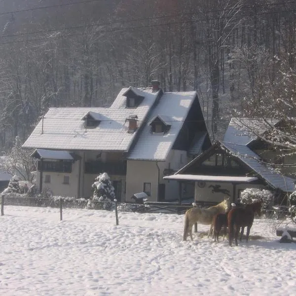 Apartments Gubanec, hotel v destinaci Cerklje na Gorenjskem