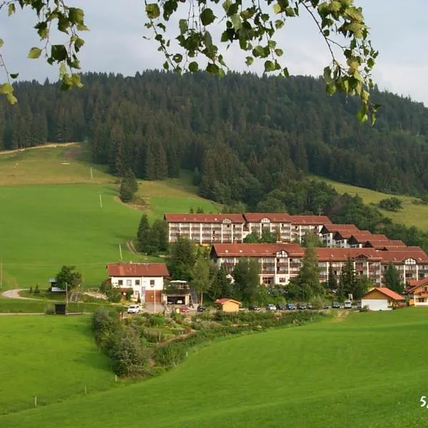 Fewo am Skihang / Bergwiese, готель у місті Міссен-Вільгамс