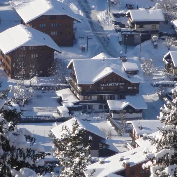 Fleur des Neiges, hotel v destinaci Morzine