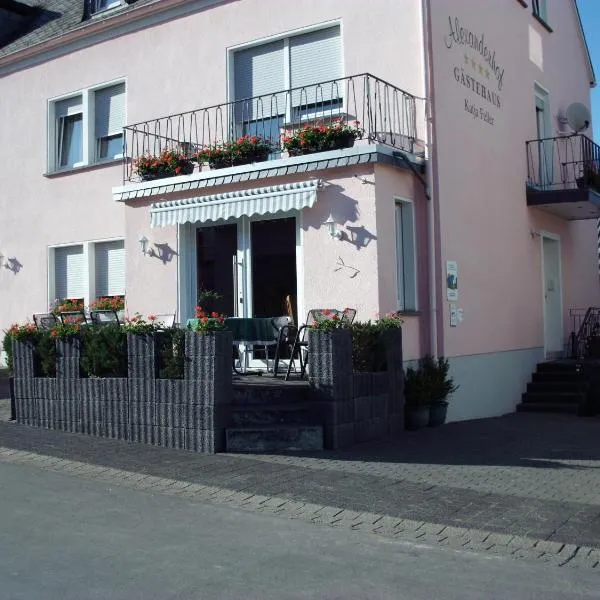 Gästehaus Alexanderhof, hotel en Leiwen