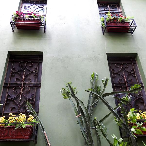 Pousada Éden - Conforto, Imersão e Natureza - Foto 3