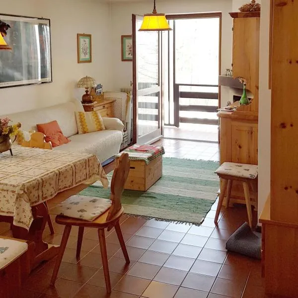 Appartamento Tiziana Val di Fiemme, hotel in Carano