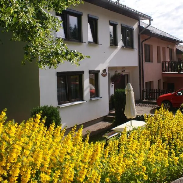 U Macháčků - Lipno, hotel v destinaci Lipno nad Vltavou