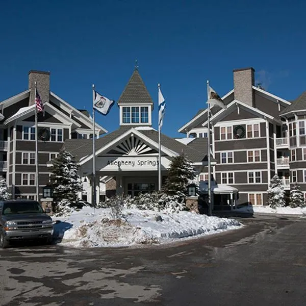 Allegheny Springs, hotel in Slaty Fork