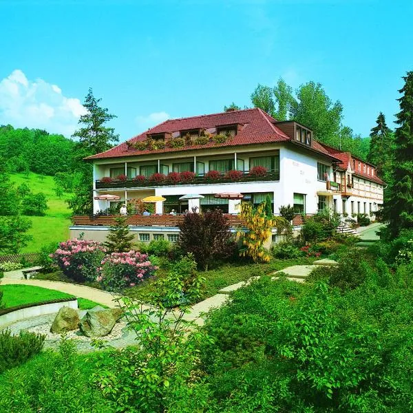 Hotel Wiesengrund, hotel v destinaci Lindenfels