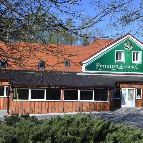 Penzion Grasel, hotel di Desov