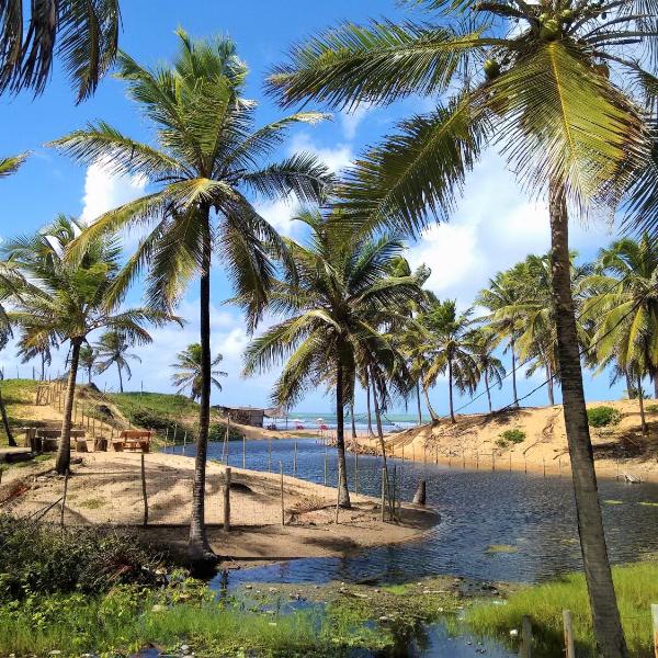 Pousada Praia de Santo Antônio-Beira Mar By LVF - Foto 5