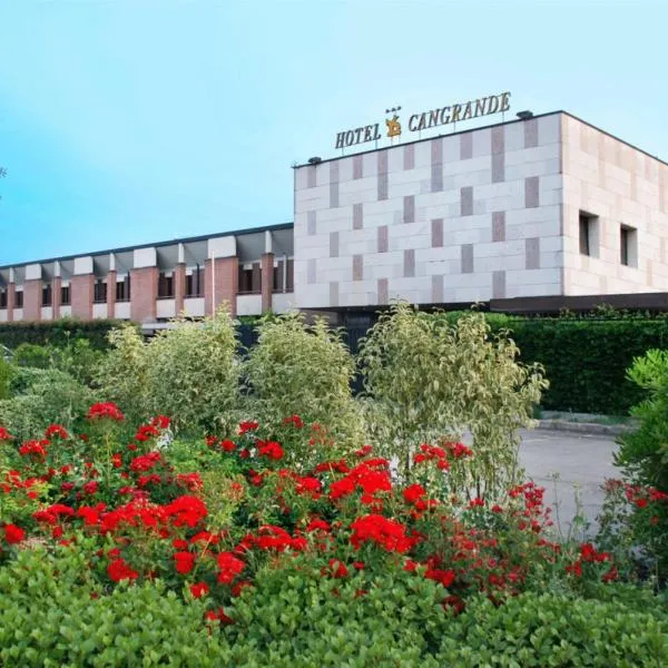 Hotel Cangrande Di Soave, hotel in Zevio