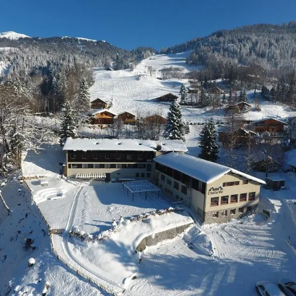 Family & Mountain Lodge C'est la Vie, hotel v destinaci Hasliberg