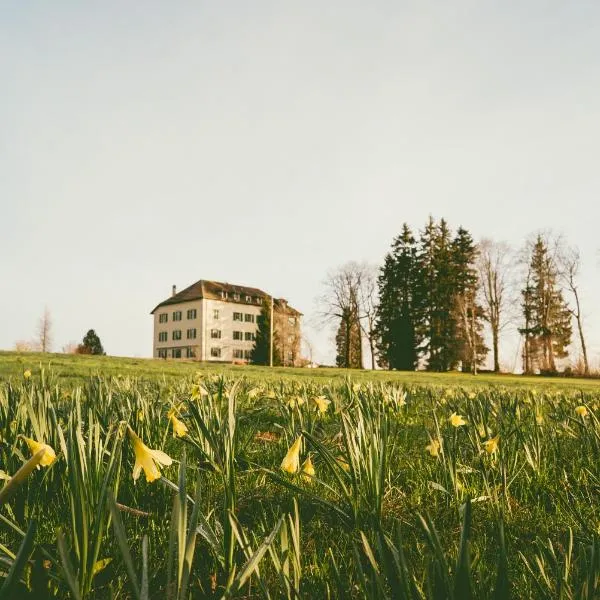 Hôtel de la Chaux-d'Abel, hotell i La Ferrière