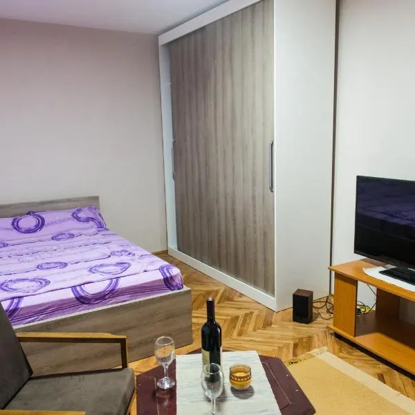 Apartman “Reka Gradac” โรงแรมในวาลเยโว