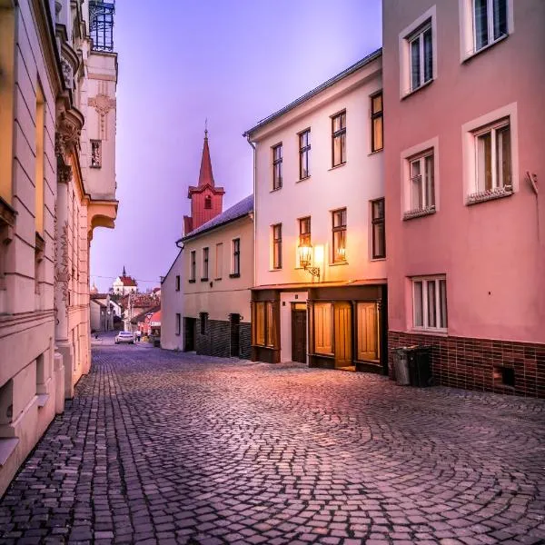 Lucerna - dům s duší Příbor, hotell i Příbor