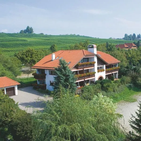 Hotel Alpina, hotel sa Hagnau