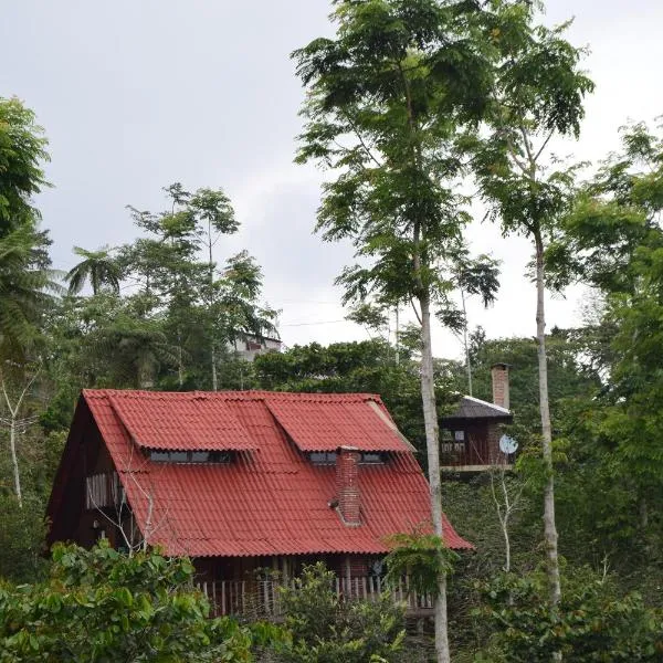 Cabañas los Cedros, hotel di Zapotitlán de Méndez