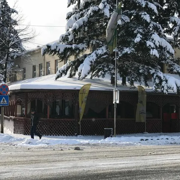 호레주에 위치한 호텔 Pensiunea Mioritza